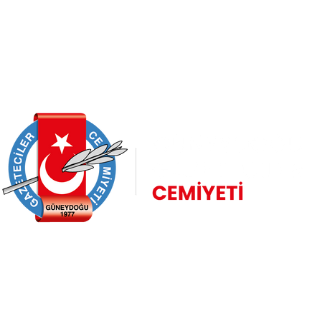 Logo 3